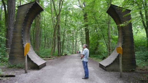 Veranschaulichter Stammdurchmesser vom höchsten Baum der Erde